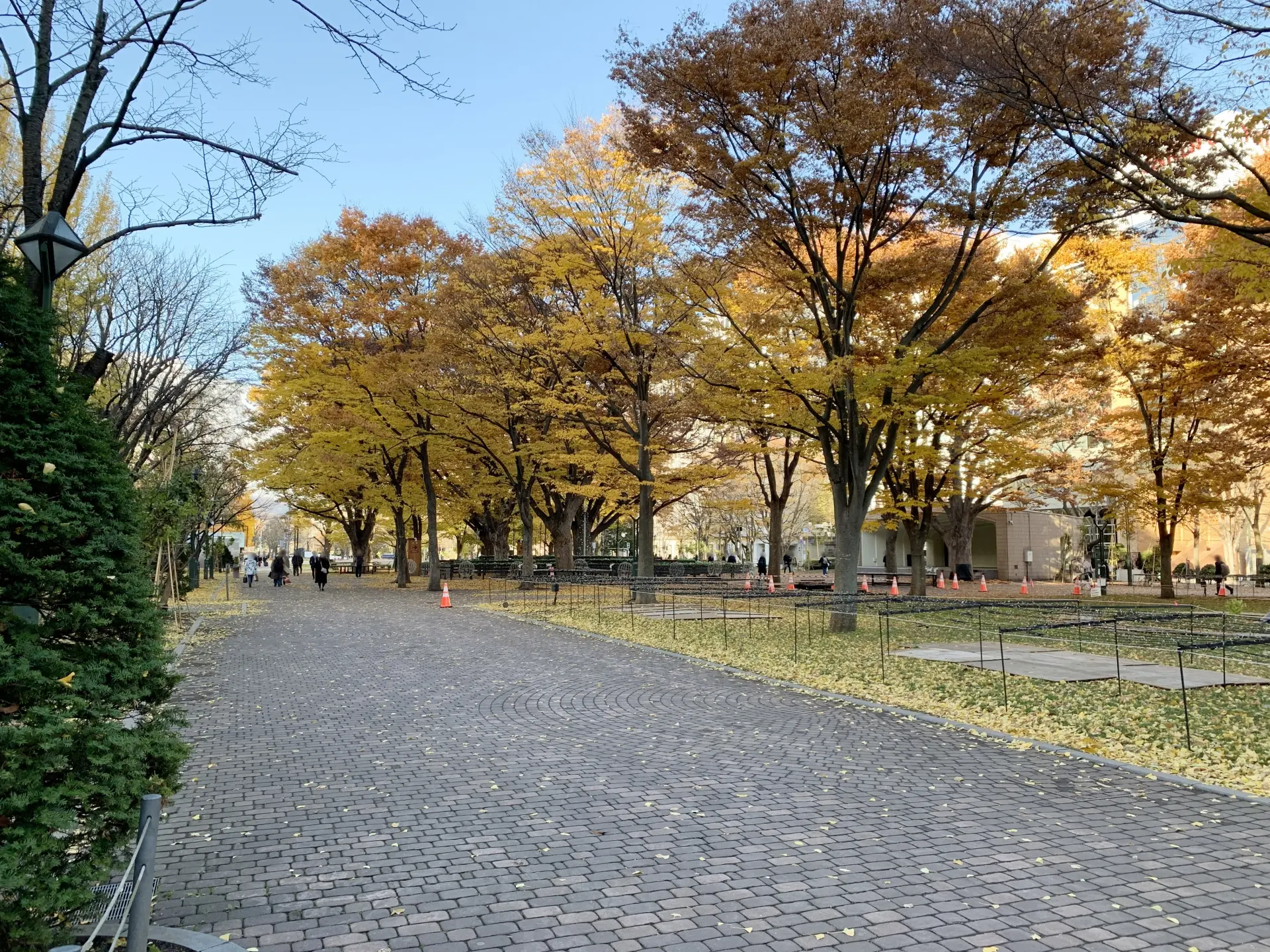 A paved path in autumn, flanked by trees with bright yellow and orange leaves and fallen leaves on the ground.