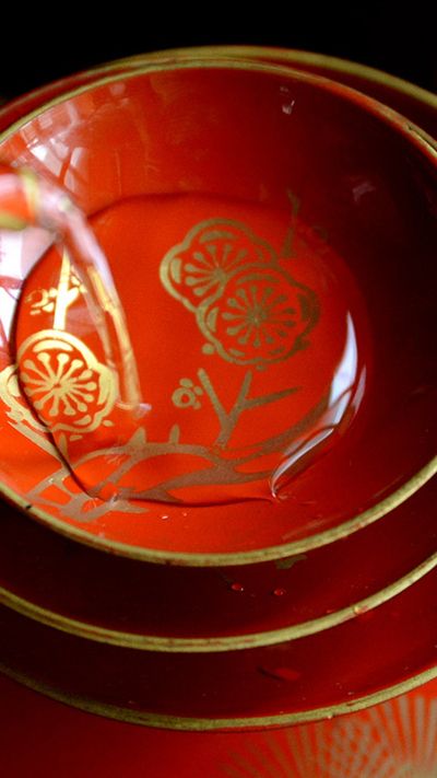 Tenshiki in Akane-banashi: The Rakugo Piece That Won Over Akane's Strict Teacher
