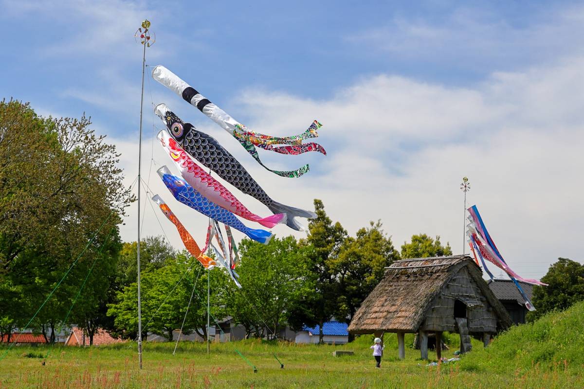 Colorful Koinobori (carp streamers) flying over a field with a thatched-roof building.