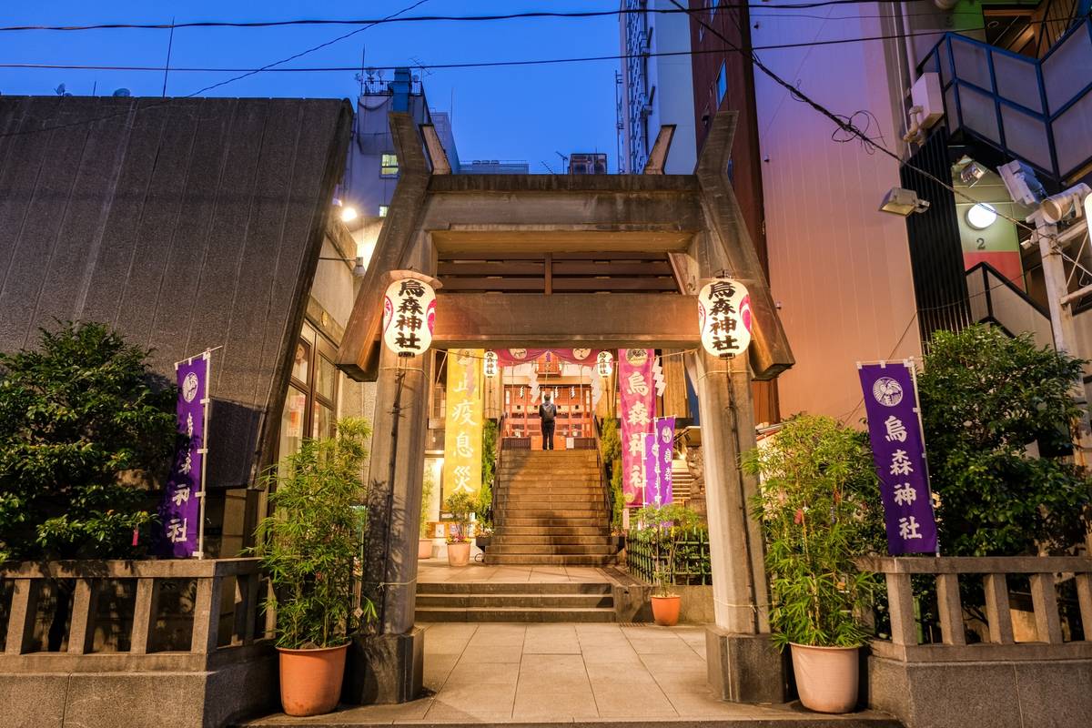 Karasumori Jinja shrine entrance at dusk with a concrete archway, illuminated lanterns, and stairs.