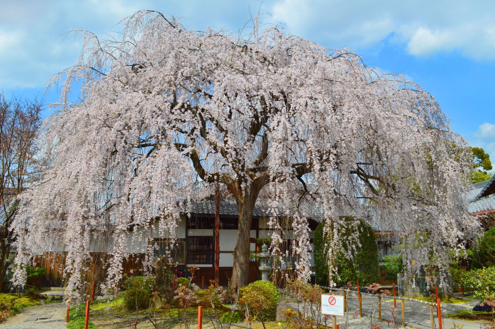 Kamigyo area