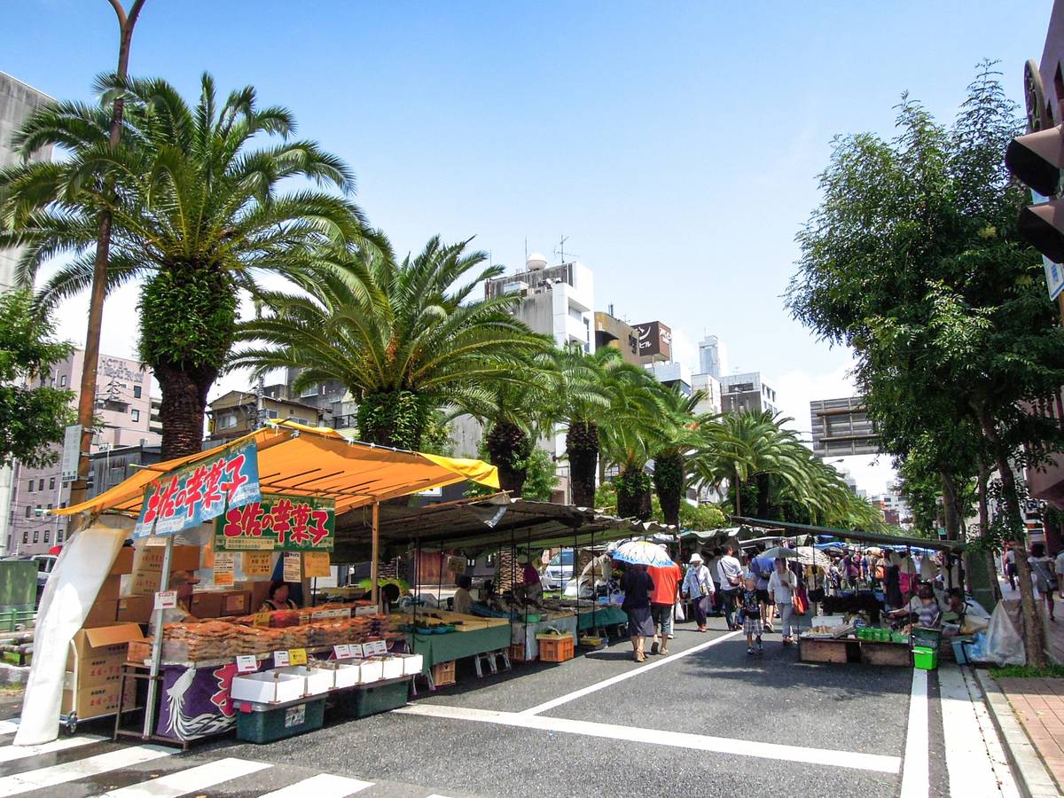 A lively street market lined with palm trees and many people browsing stalls.