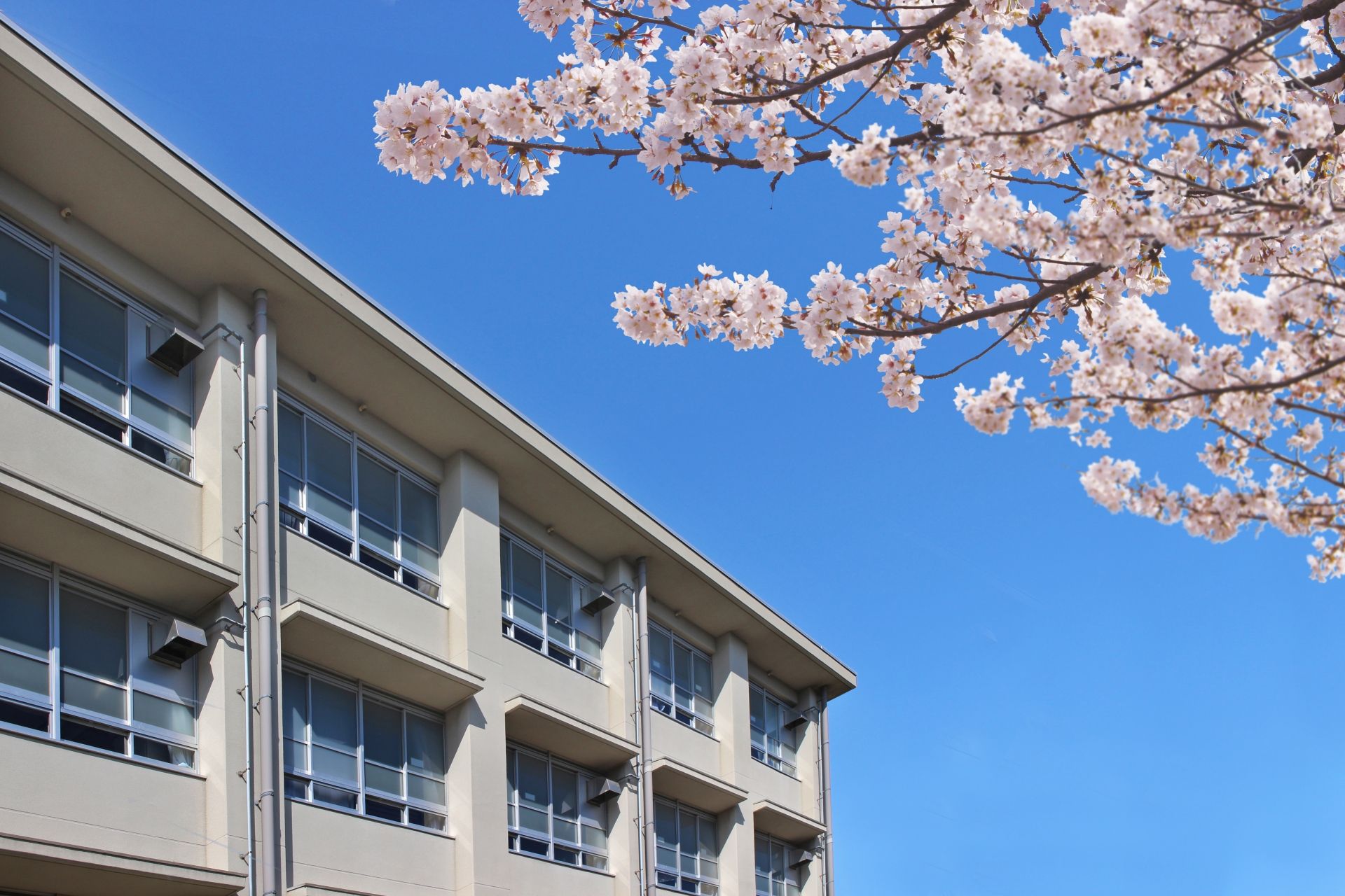 Graduation and Entrance Ceremonies in Japan: How They Differ From Overseas