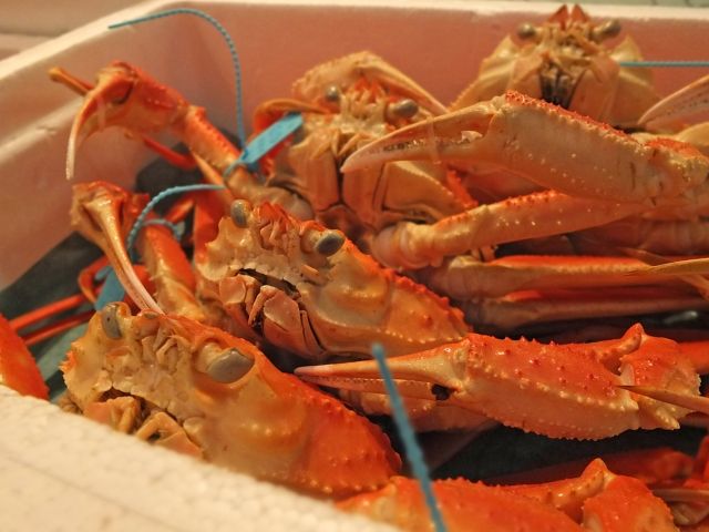 加能ガニ specialty food