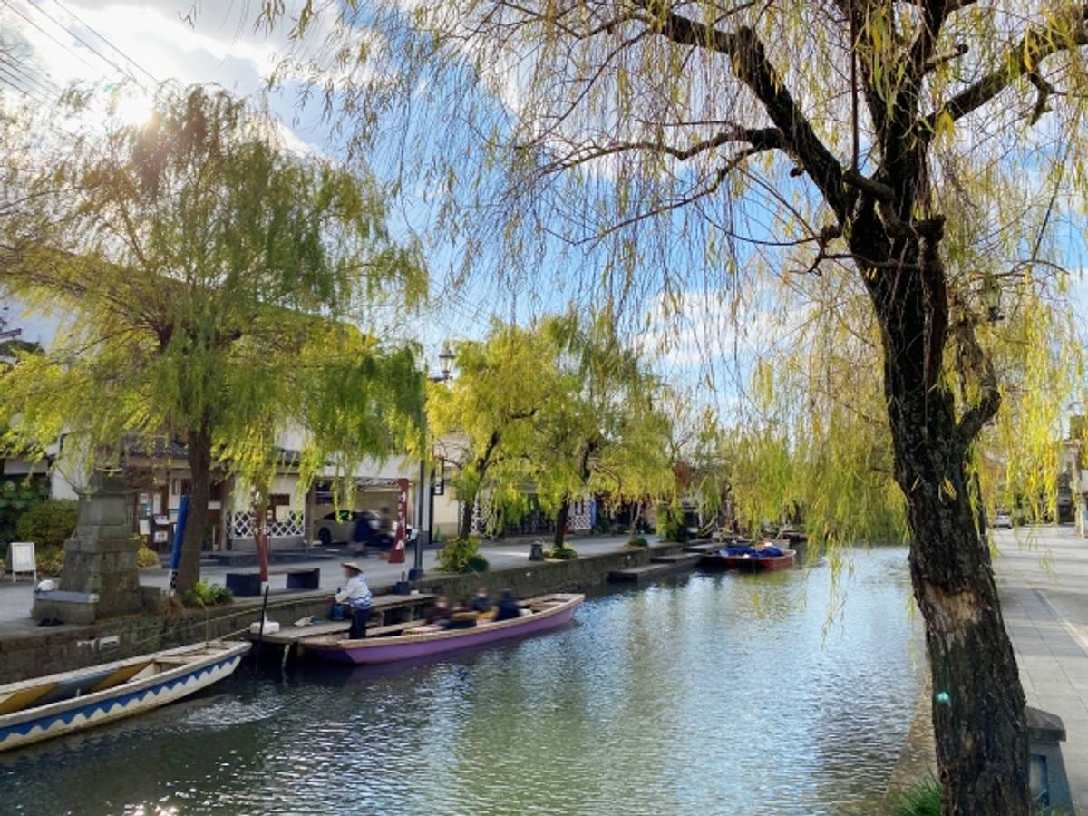 A canal lined with weeping willow trees and traditional boats carrying passengers under a bright sky.