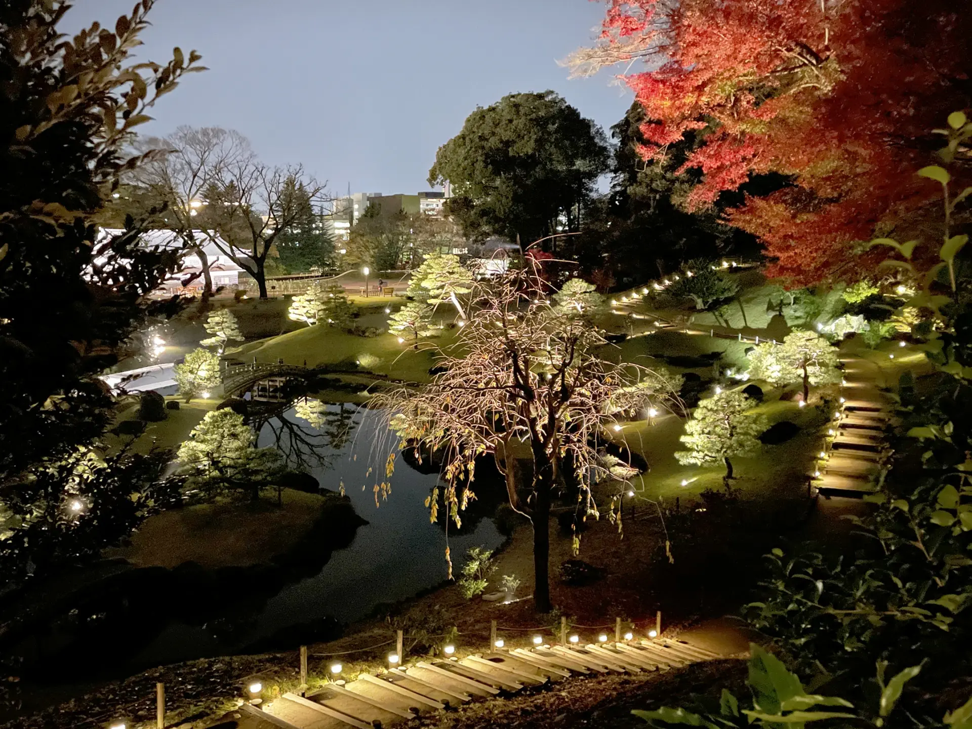 a park is lit up at night with trees and steps leading to a pond .