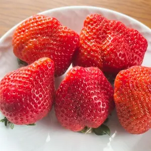 Amaou strawberries