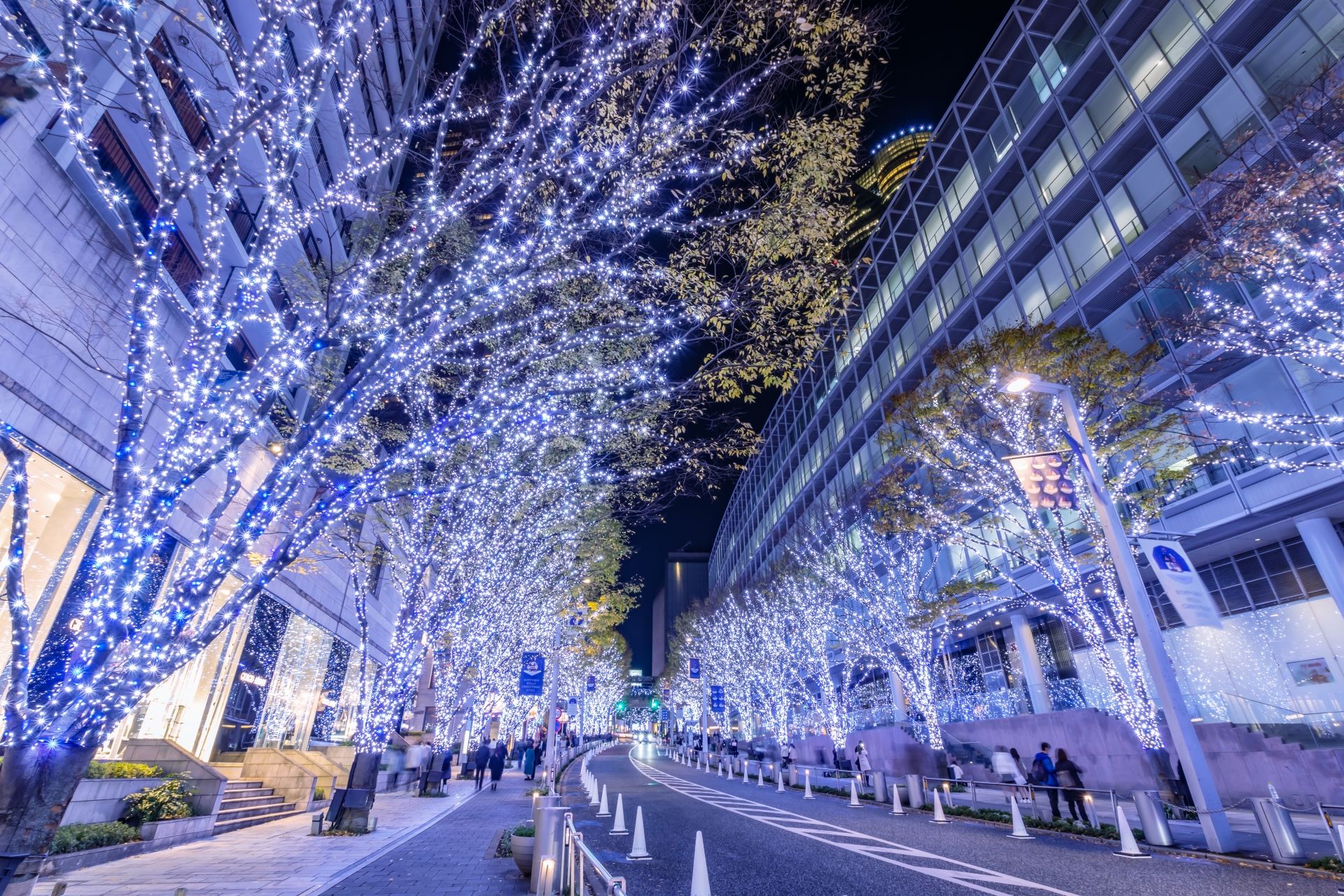 City street at night with trees illuminated by blue and white lights.