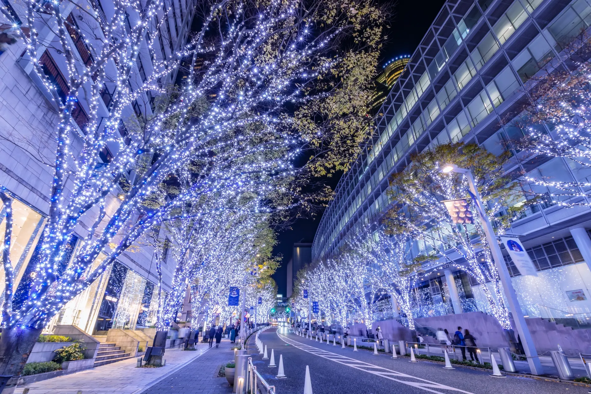 City street at night with trees illuminated by blue and white lights.