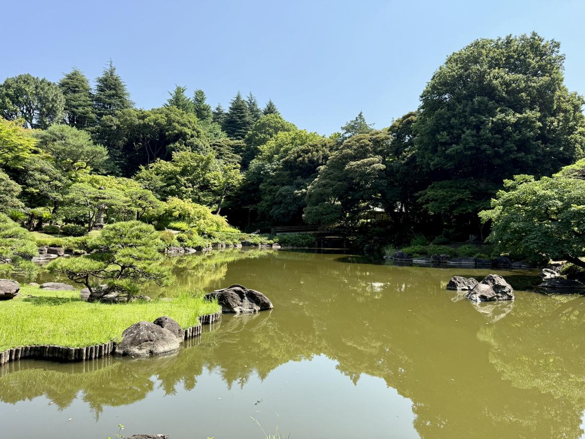 Kita