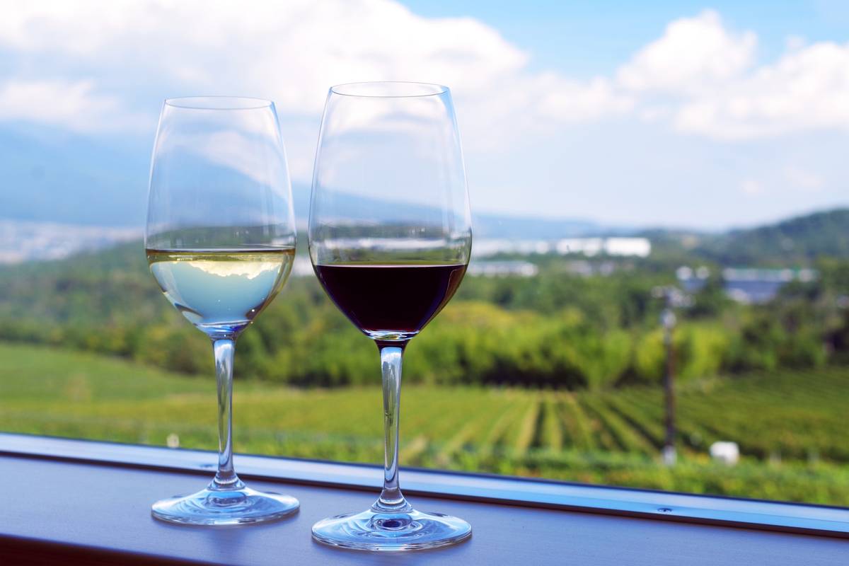 Two wine glasses, one with white and one with red wine, overlooking a vineyard.