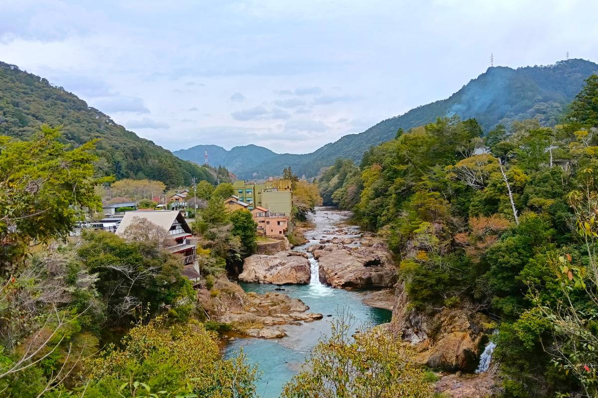 A river with rapids flows through a forested valley with buildings under an overcast sky.