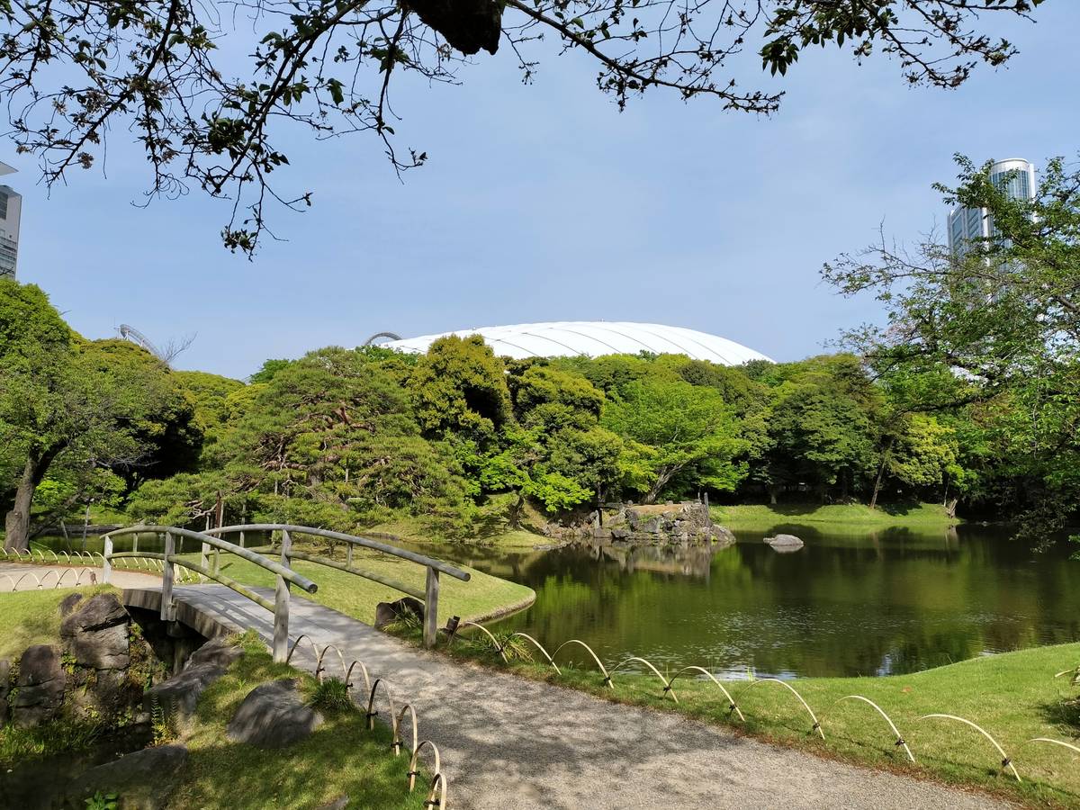 A Japanese garden with a pond, wooden bridge, and trees, backed by the Tokyo Dome and a skyscraper.