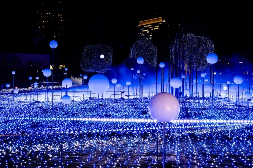 5 Must-See Winter Illumination Destinations in Japan