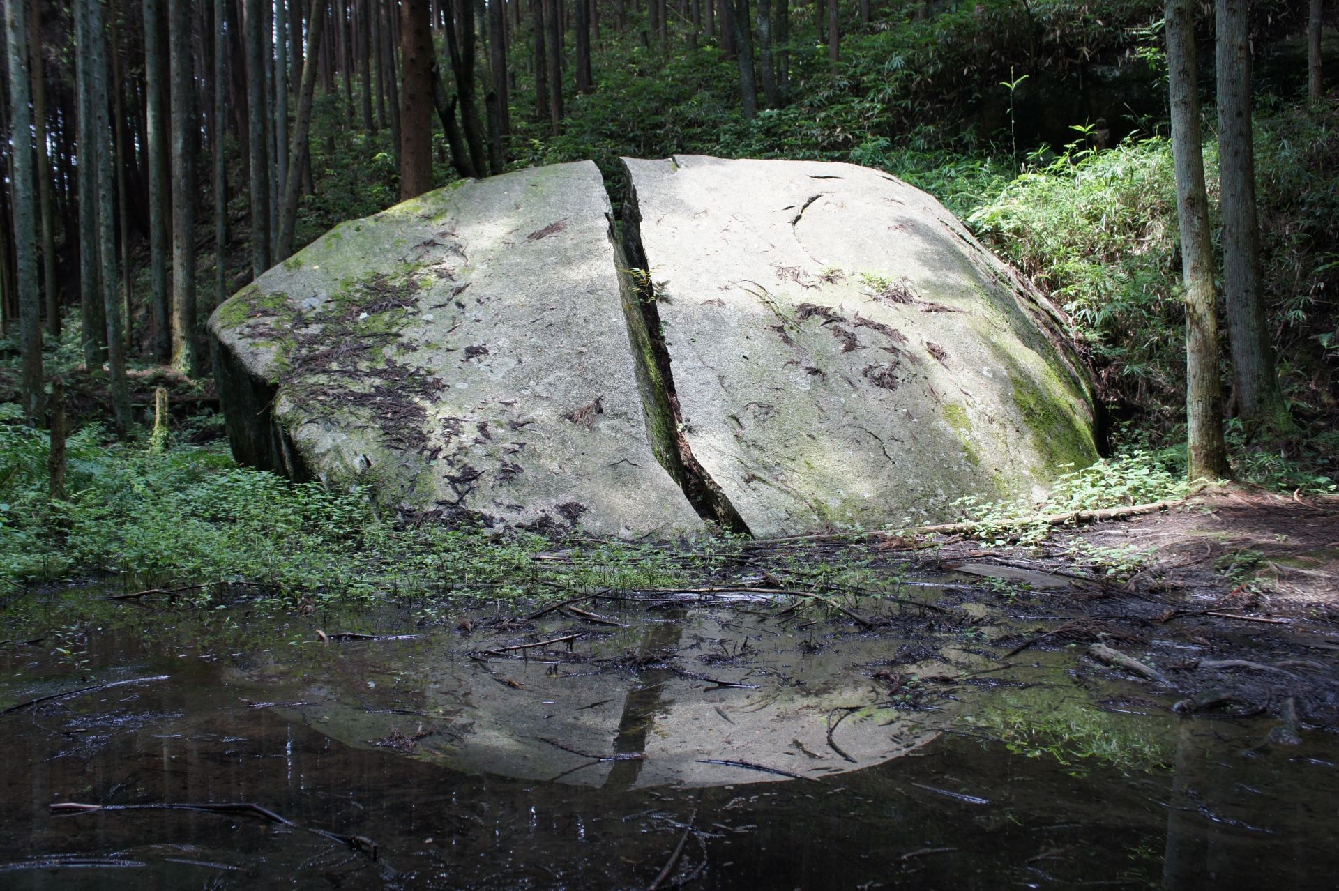 A large boulder split vertically in a forest, reflected in a foreground puddle.