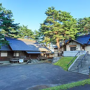Ezo and Nature's Romantic Forest