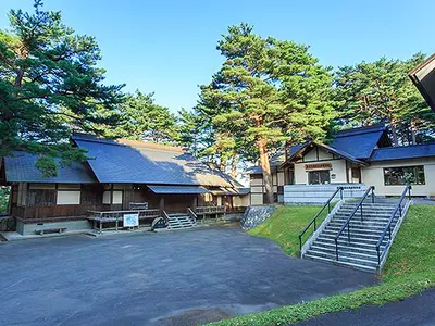 Ezo and Nature's Romantic Forest