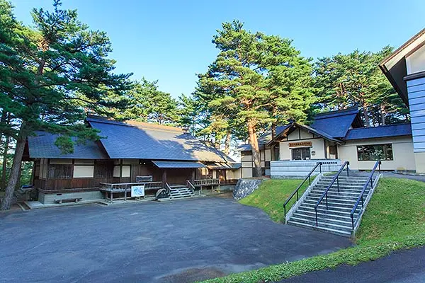 Ezo and Nature's Romantic Forest