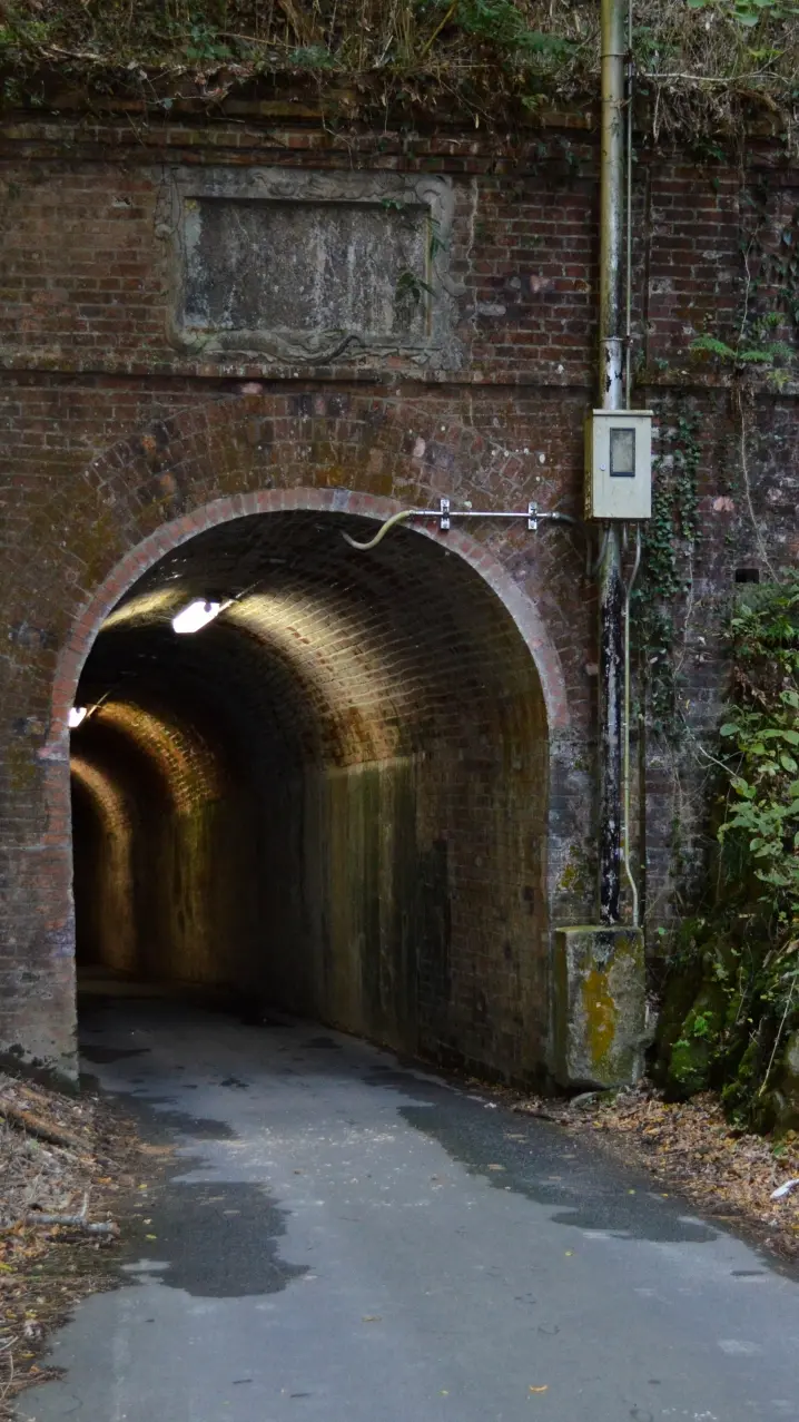 What is Turbo Baba/Turbo Granny? Exploring a Famous Urban Legend