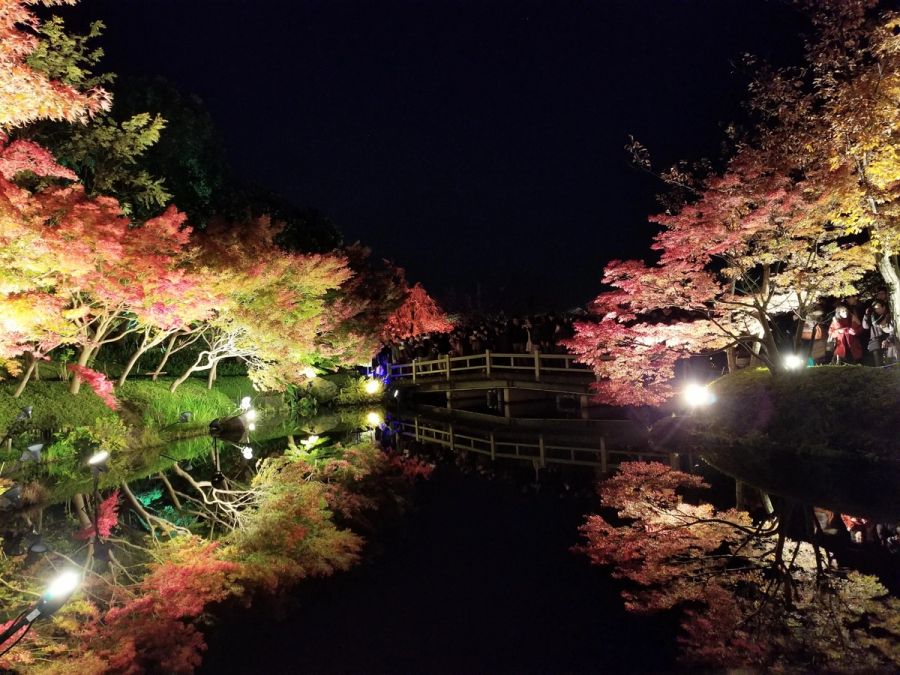 なばなの里