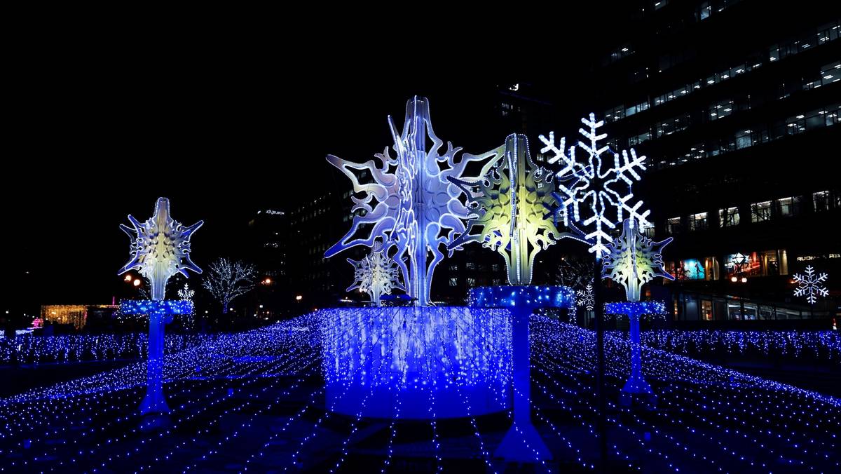 A dazzling night display of large, illuminated snowflake sculptures and a vast field of blue lights on the ground.