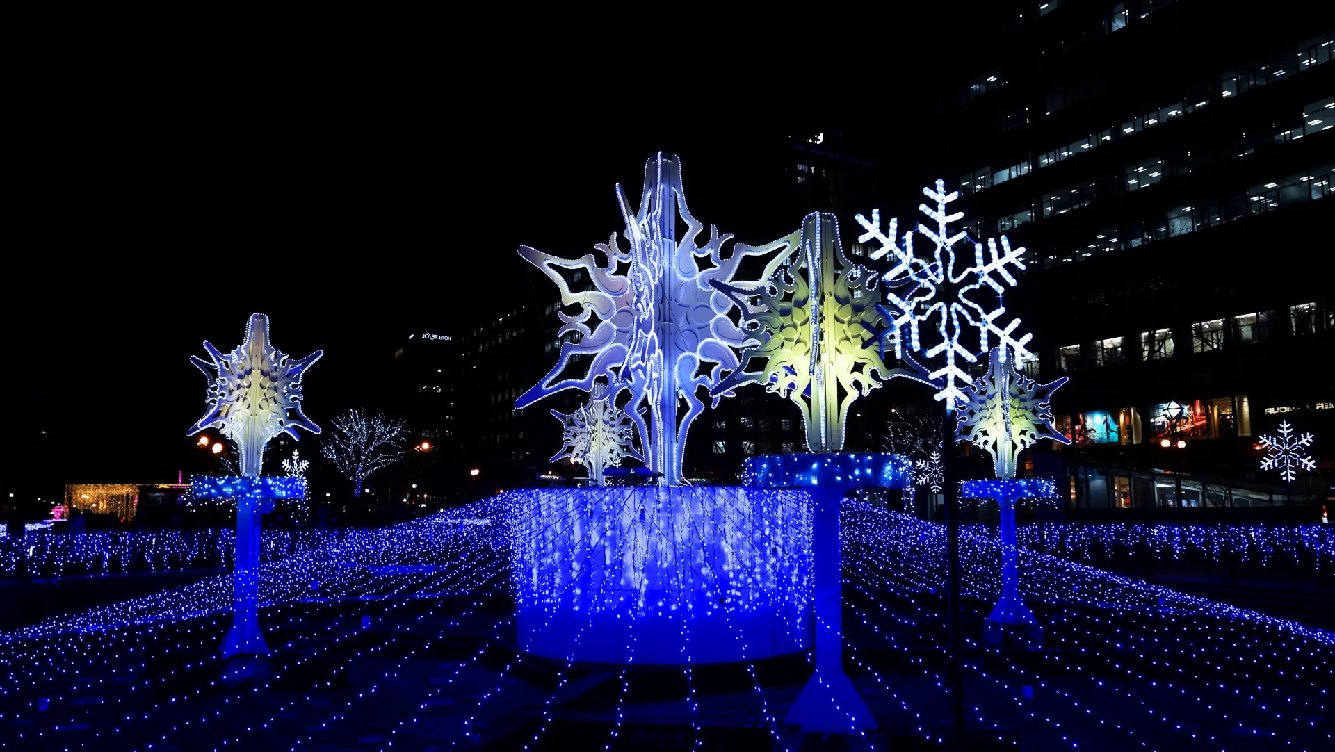 A dazzling night display of large, illuminated snowflake sculptures and a vast field of blue lights on the ground.