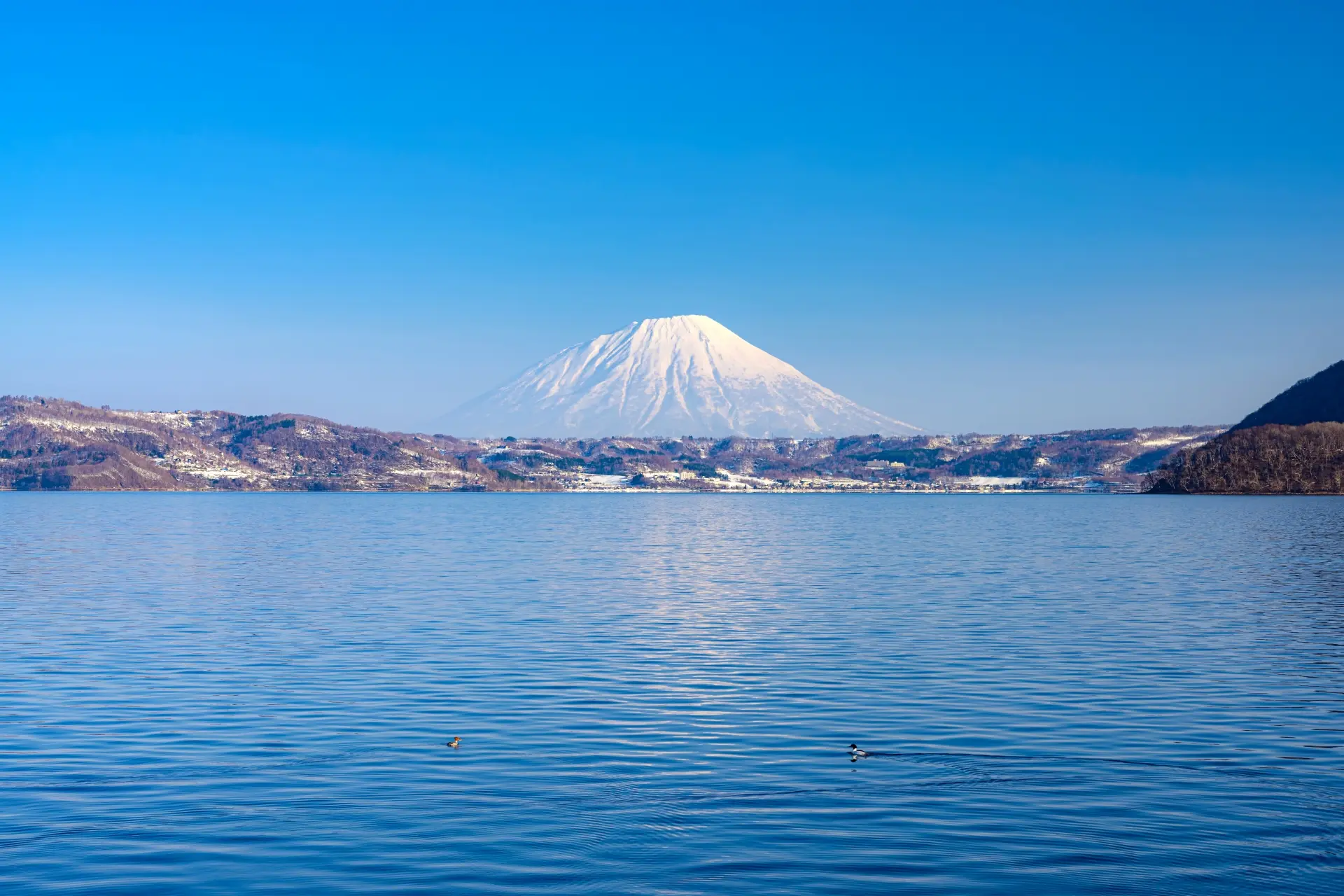 A tranquil lake scene with a snow-capped mountain towering in the distance under a clear blue sky.
