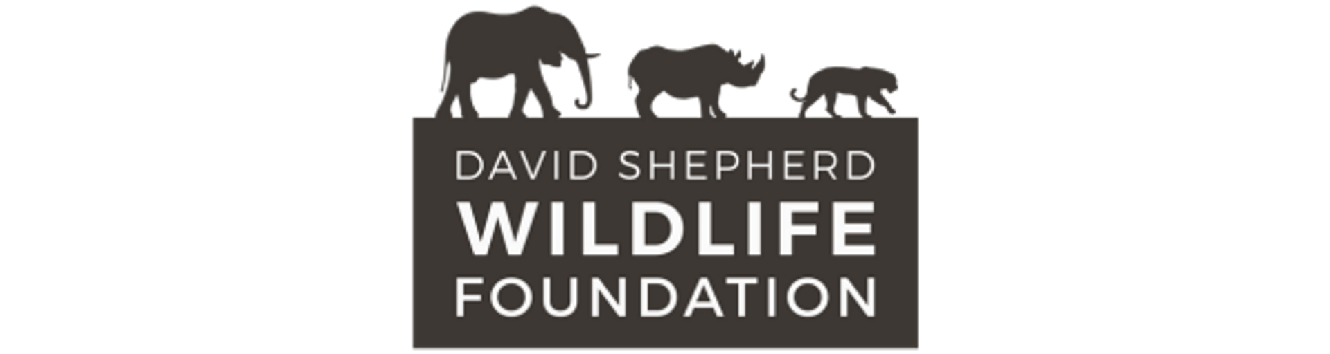 David Shepard