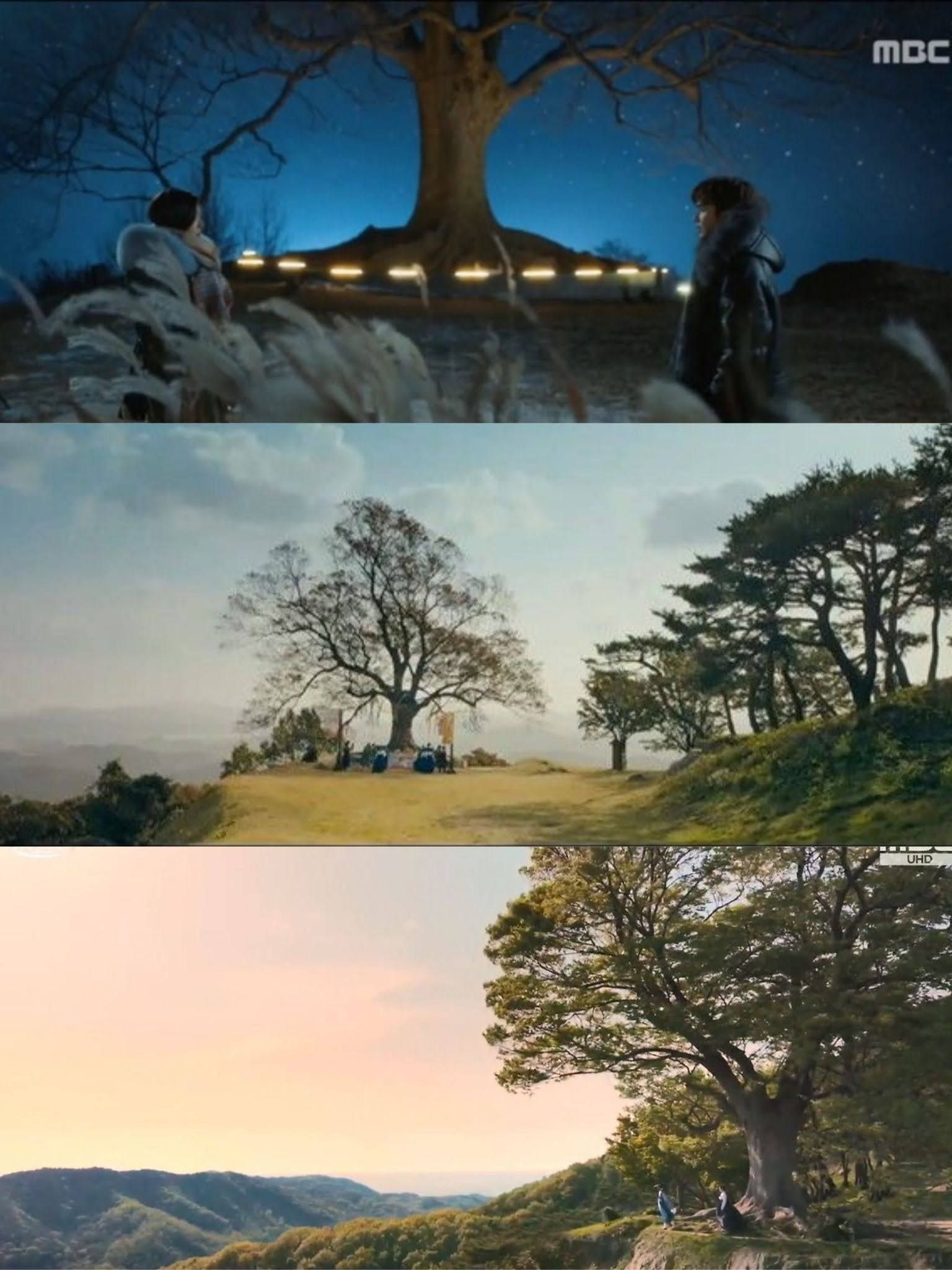 kdrama filming locations in buyeo for a trip outside of seoul love tree from MBC JTBC and KBS dramas