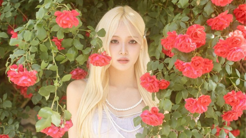 idol profile yoo ha bin 1