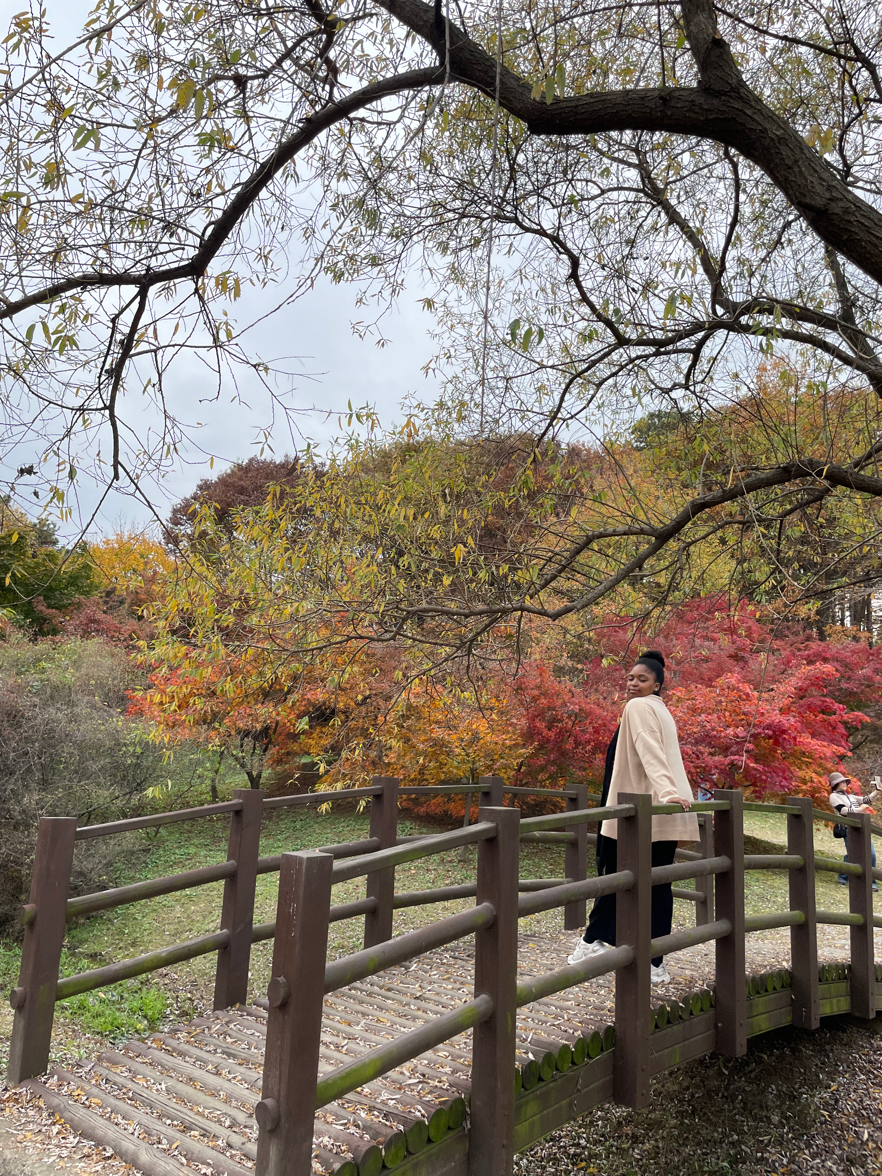 traveling to south korea for the first time_autumn in seoul