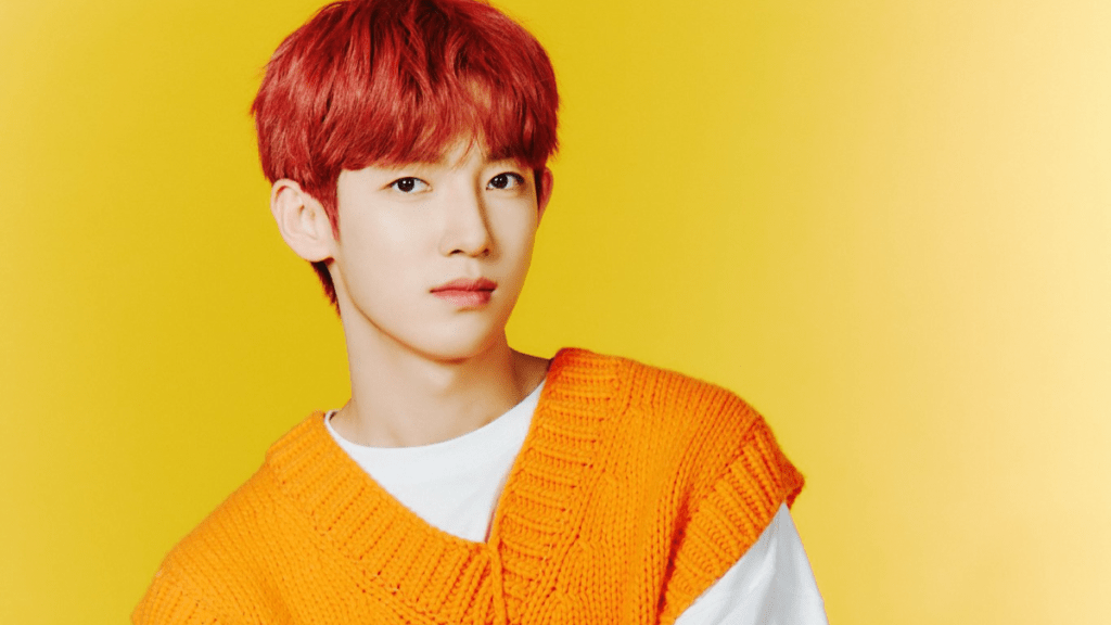 kpop idol turned actor blank2y park si woo