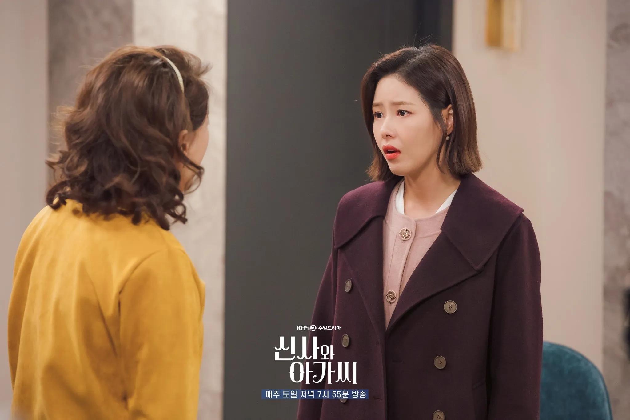 young lady and gentleman kdrama park ha na