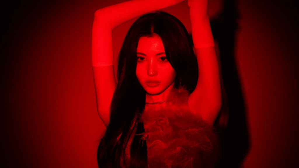 kpop idol xin member nizz
