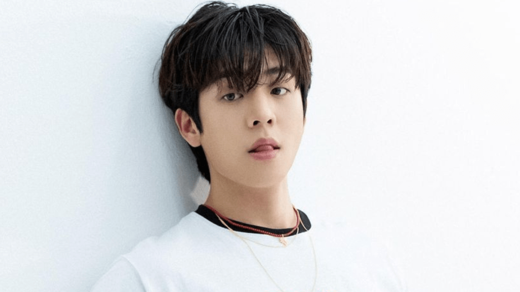 korean actor chae jong hyeop profile