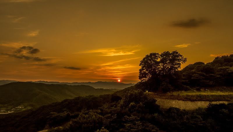kdrama filming locations in buyeo for a trip outside of seoul love tree