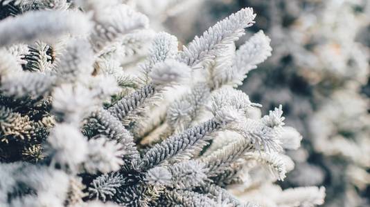 Fordeler ved å gi et bærekraftig, digitalt gavekort i julegave til ansatte i 2021