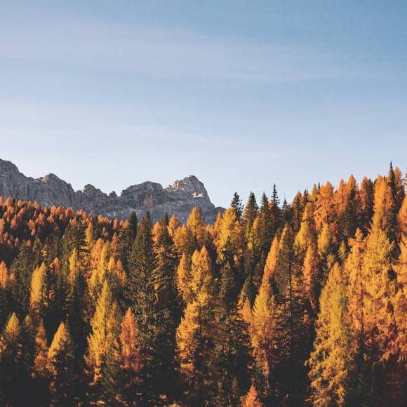 Ny utbetaling av gavemidler til gode formål!