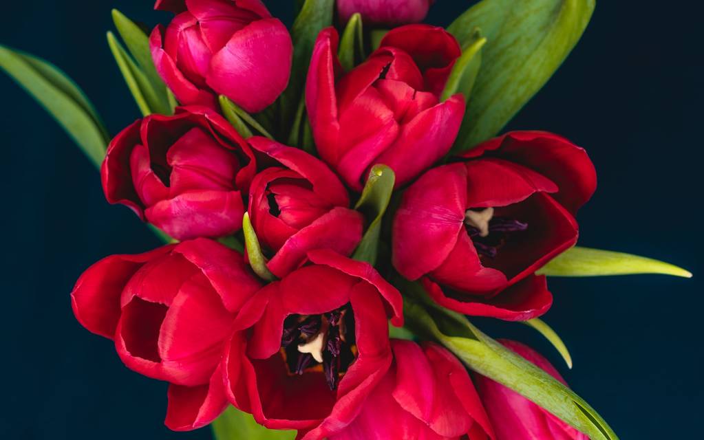 Meningsfulle og bærekraftige gaver året rundt