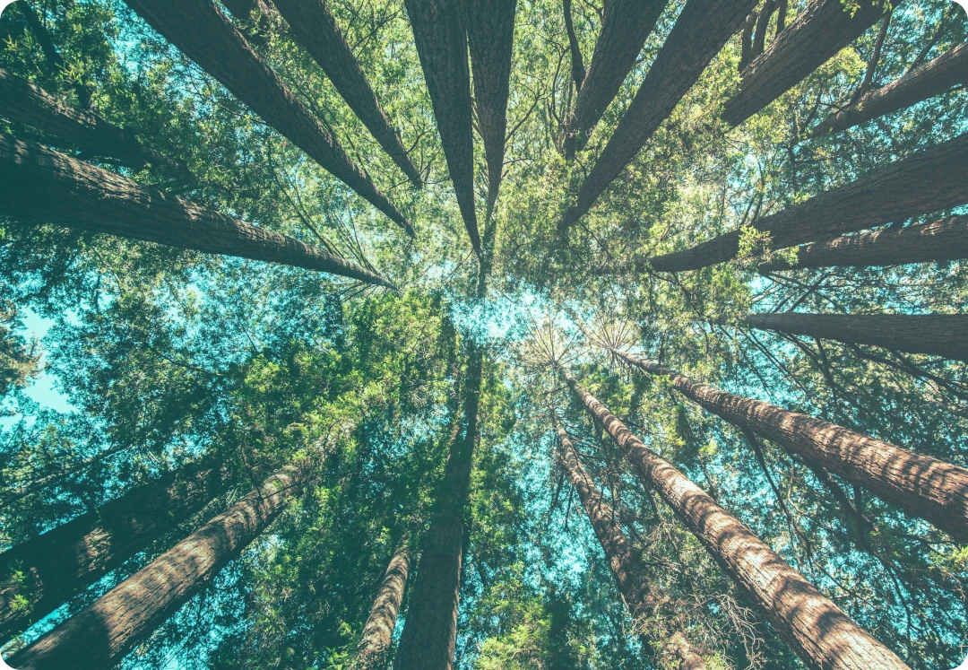 ESG and sustainability for retail companies in 2025