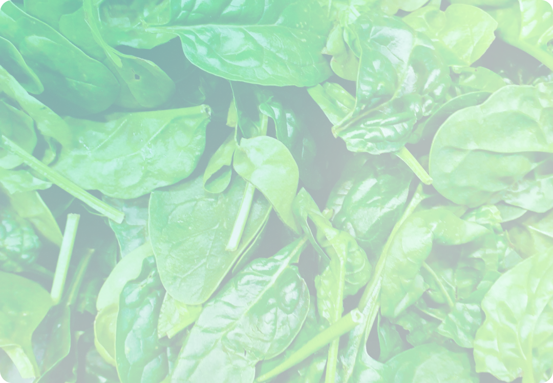 How RiskSmart helps Greencore manage risk confidently across its vast operations 