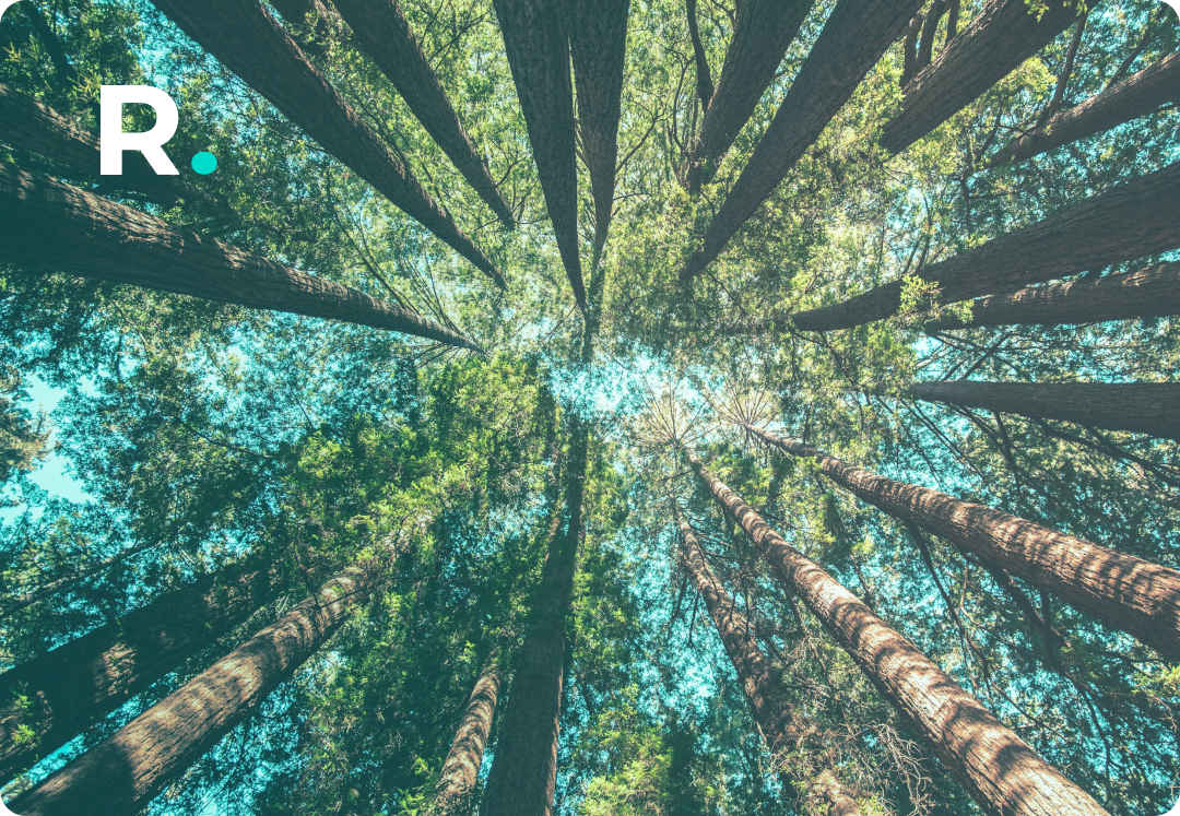 ESG and sustainability for retail companies in 2025