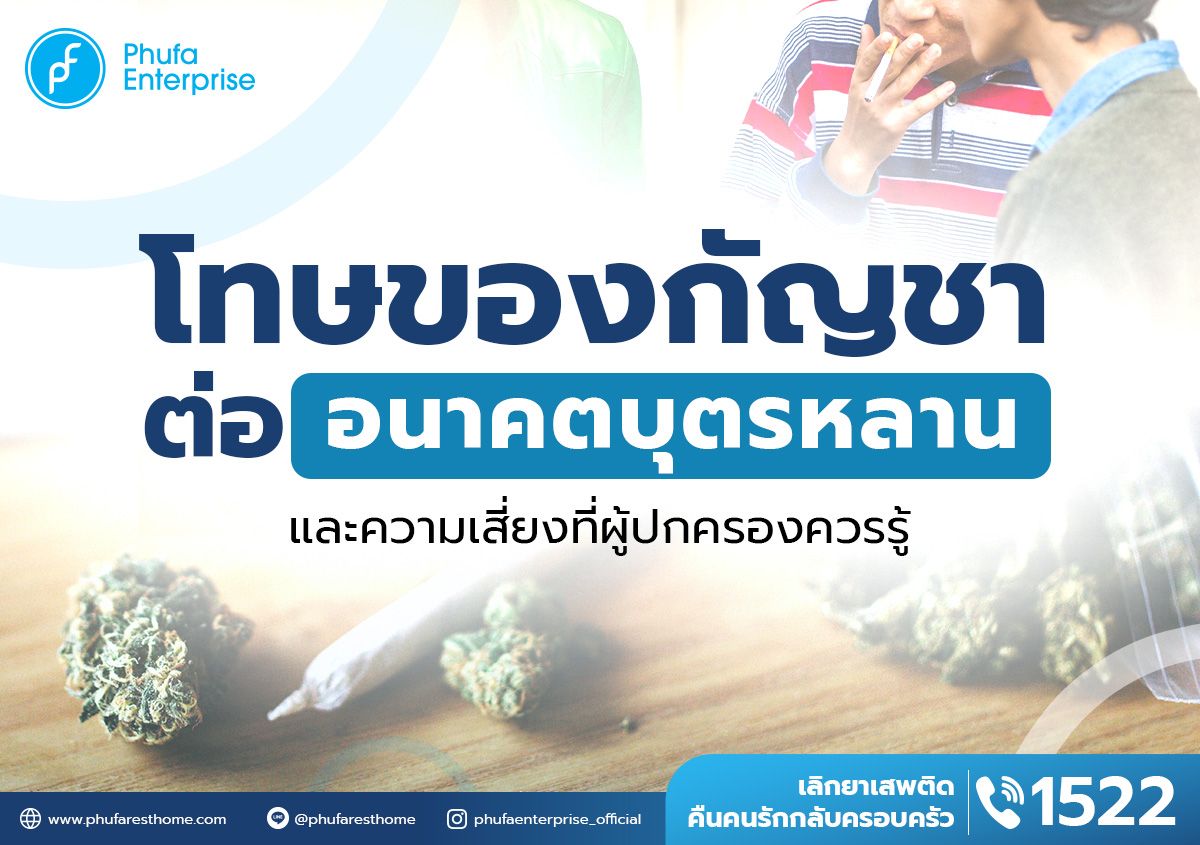 ข้อเสียของกัญชา