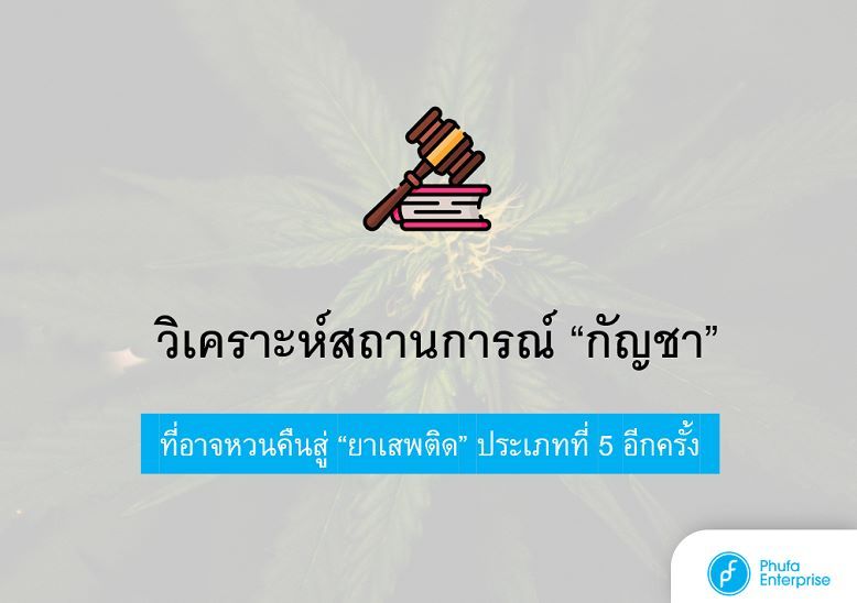 วิเคราะห์สถานการณ์ “กัญชา” ที่อาจหวนคืนสู่ “ยาเสพติด” ประเภทที่ 5 อีกครั้ง