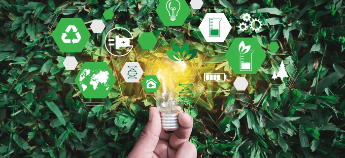 Sustainability In Sport: It All Starts With Education