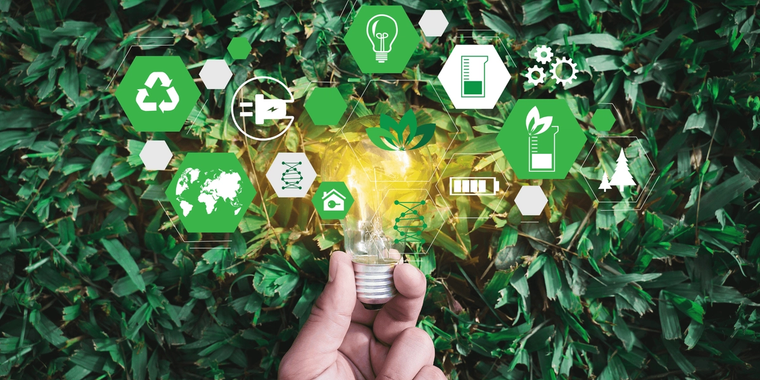 Sustainability In Sport: It All Starts With Education