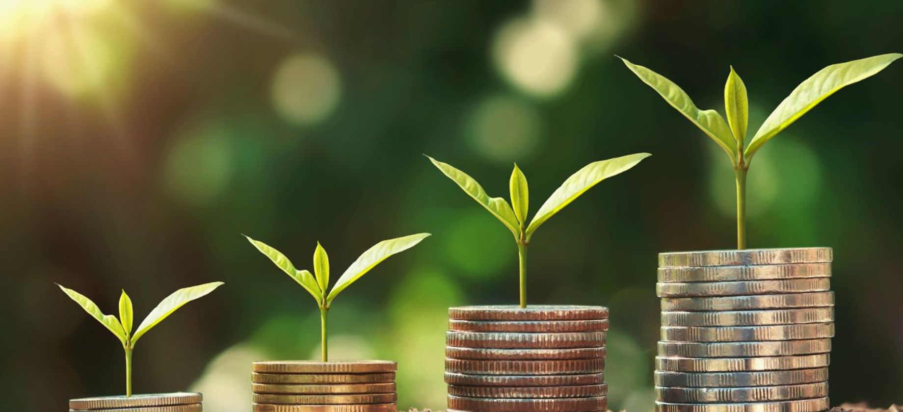 Plants growing out of piles of coins