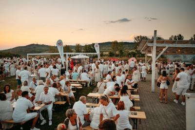 ZORABIA 2026 – Siebenbürgische Nacht in Weiß – Bild 4