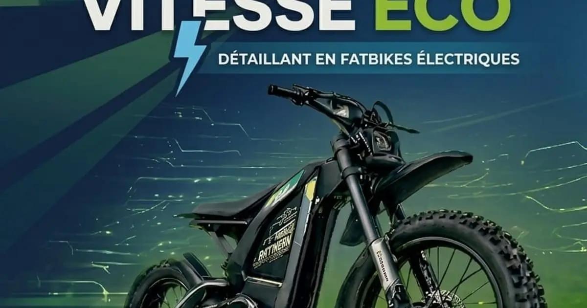 Kaufratgeber 2026: das richtige E-Fatbike finden