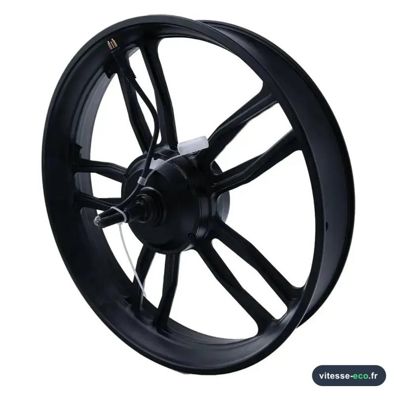V20/S20 - Motor - Met Velg - 250 watt - Zwarte kabel